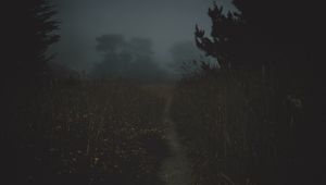 Preview wallpaper path, fog, dark, dusk, nature