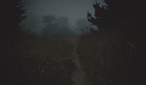 Preview wallpaper path, fog, dark, dusk, nature