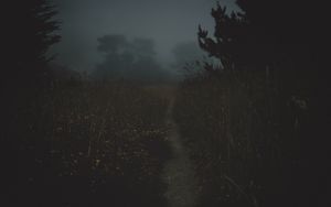 Preview wallpaper path, fog, dark, dusk, nature