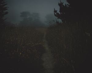 Preview wallpaper path, fog, dark, dusk, nature