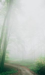 Preview wallpaper path, fog, forest, trees, nature