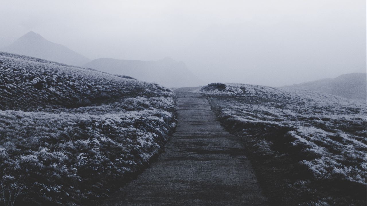 Wallpaper path, fog, frost, snow