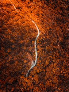 Preview wallpaper path, forest, aerial view, slope, mountain