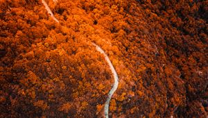 Preview wallpaper path, forest, aerial view, slope, mountain