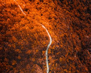 Preview wallpaper path, forest, aerial view, slope, mountain