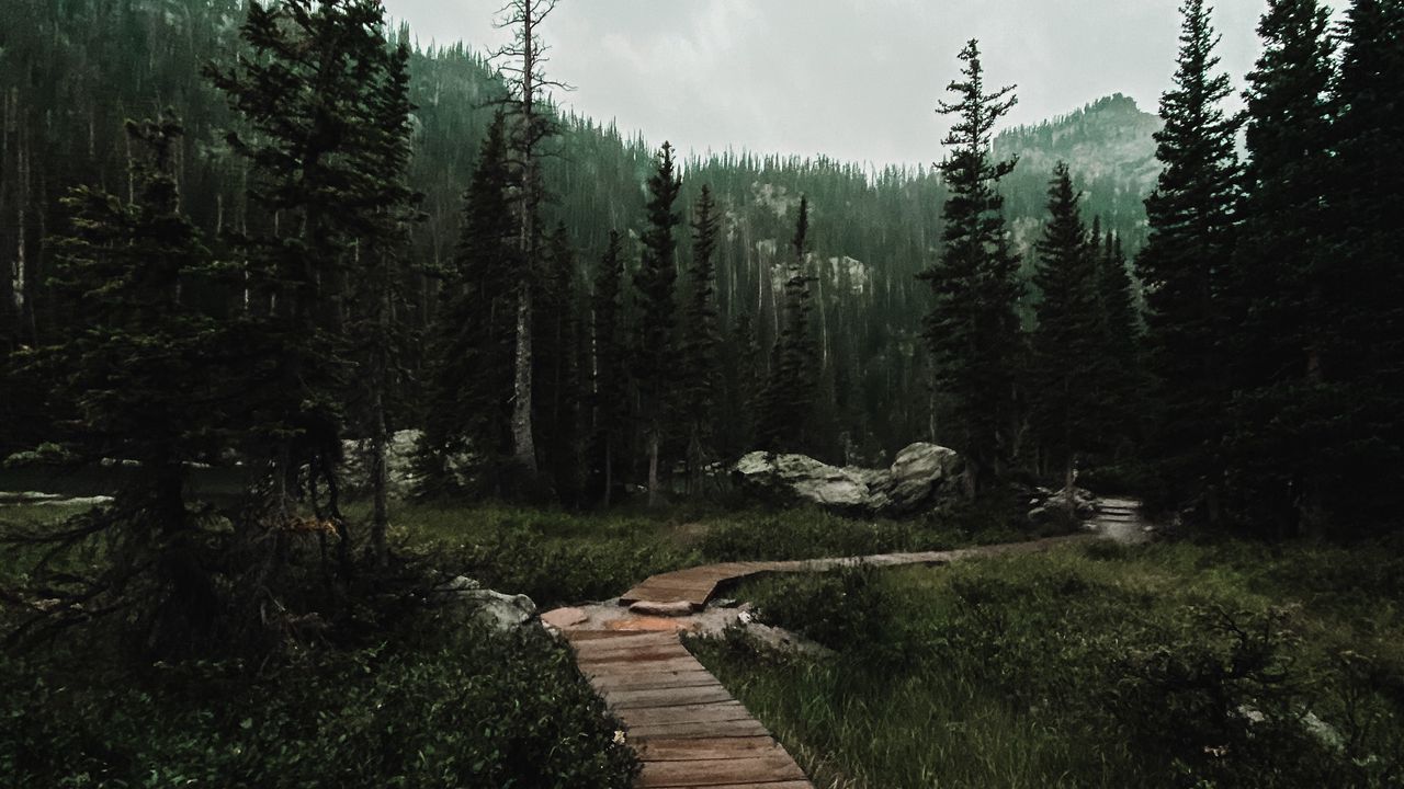 Wallpaper path, forest, mountains, nature, landscape