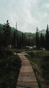 Preview wallpaper path, forest, mountains, nature, landscape