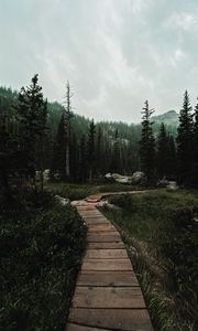 Preview wallpaper path, forest, mountains, nature, landscape