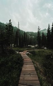 Preview wallpaper path, forest, mountains, nature, landscape