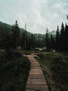 Preview wallpaper path, forest, mountains, nature, landscape