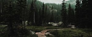 Preview wallpaper path, forest, mountains, nature, landscape
