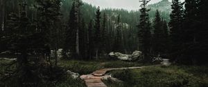 Preview wallpaper path, forest, mountains, nature, landscape