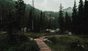 Preview wallpaper path, forest, mountains, nature, landscape