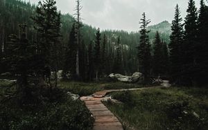 Preview wallpaper path, forest, mountains, nature, landscape