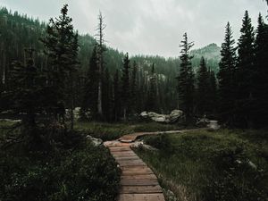 Preview wallpaper path, forest, mountains, nature, landscape
