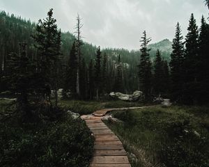 Preview wallpaper path, forest, mountains, nature, landscape