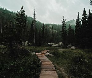 Preview wallpaper path, forest, mountains, nature, landscape