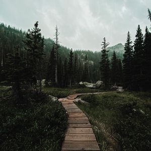 Preview wallpaper path, forest, mountains, nature, landscape