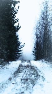 Preview wallpaper path, forest, snow, fog, winter