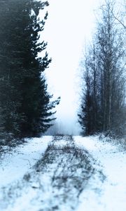 Preview wallpaper path, forest, snow, fog, winter