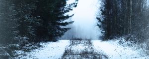 Preview wallpaper path, forest, snow, fog, winter