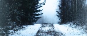 Preview wallpaper path, forest, snow, fog, winter