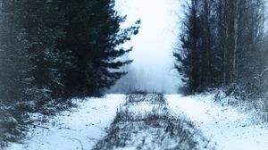 Preview wallpaper path, forest, snow, fog, winter