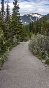 Preview wallpaper path, forest, trees, mountains, landscape