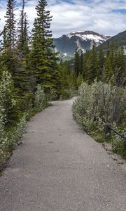 Preview wallpaper path, forest, trees, mountains, landscape