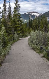 Preview wallpaper path, forest, trees, mountains, landscape