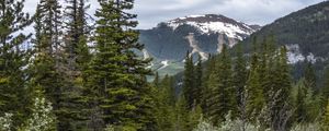 Preview wallpaper path, forest, trees, mountains, landscape