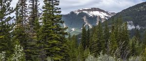 Preview wallpaper path, forest, trees, mountains, landscape