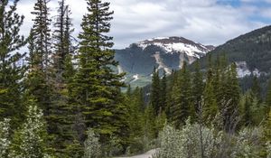 Preview wallpaper path, forest, trees, mountains, landscape