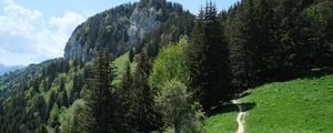 Preview wallpaper path, forest, trees, mountains, landscape, greenery