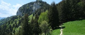 Preview wallpaper path, forest, trees, mountains, landscape, greenery