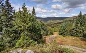 Preview wallpaper path, forest, trees, hills, landscape