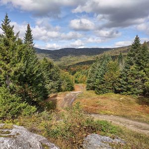 Preview wallpaper path, forest, trees, hills, landscape