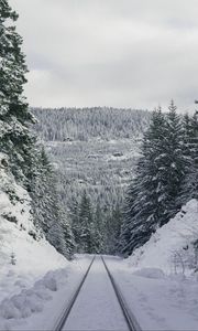 Preview wallpaper path, forest, winter, mountains