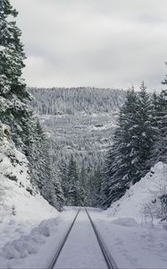 Preview wallpaper path, forest, winter, mountains
