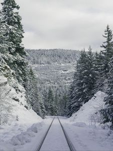 Preview wallpaper path, forest, winter, mountains