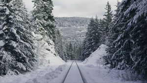 Preview wallpaper path, forest, winter, mountains