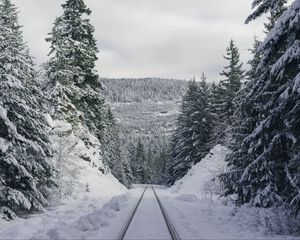 Preview wallpaper path, forest, winter, mountains