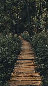 Preview wallpaper path, forest, wooden