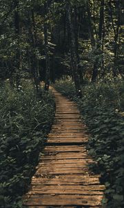 Preview wallpaper path, forest, wooden