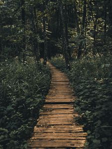 Preview wallpaper path, forest, wooden
