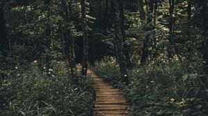 Preview wallpaper path, forest, wooden