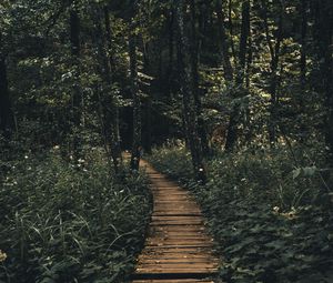 Preview wallpaper path, forest, wooden