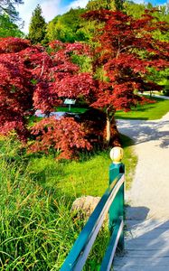 Preview wallpaper path, fork, garden, trees