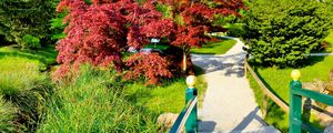 Preview wallpaper path, fork, garden, trees