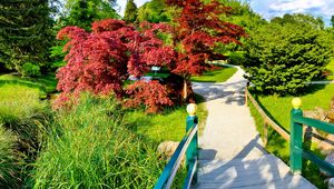 Preview wallpaper path, fork, garden, trees